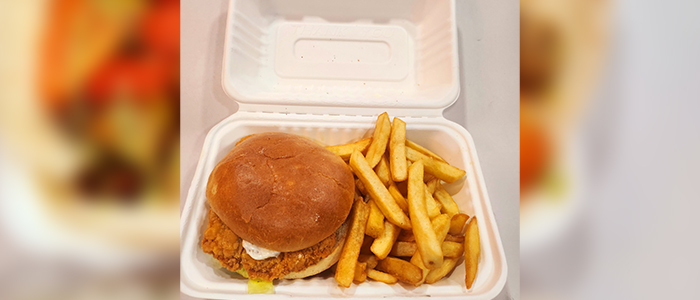 Kids Chicken Burger & Fries (h) 