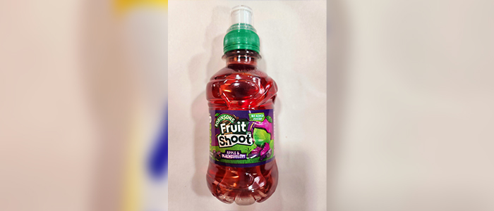 Blackcurrant Fruit Shoot 